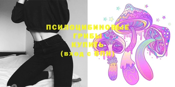 PSILOCYBIN Белокуриха