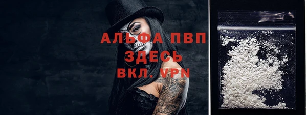 PSILOCYBIN Белокуриха