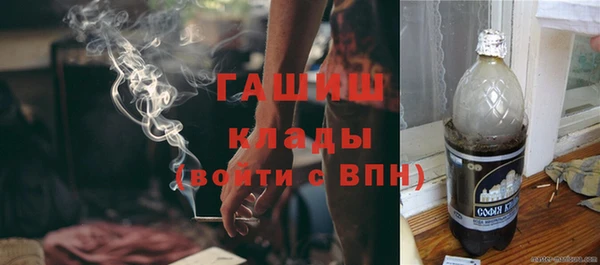 спиды Богородицк