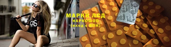 PSILOCYBIN Белокуриха