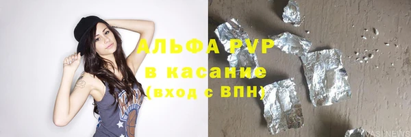 PSILOCYBIN Белокуриха