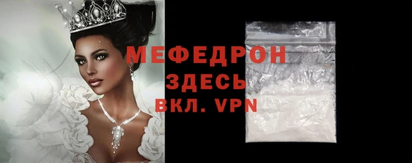 спиды Богородицк