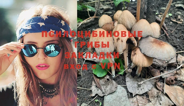 PSILOCYBIN Белокуриха