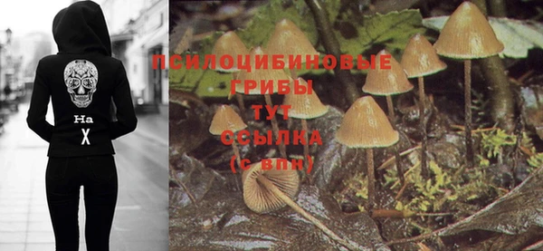 ПСИЛОЦИБИНОВЫЕ ГРИБЫ Богородск