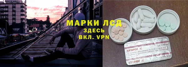 PSILOCYBIN Белокуриха