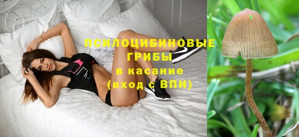 ПСИЛОЦИБИНОВЫЕ ГРИБЫ Богородск