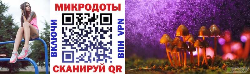 Галлюциногенные грибы мицелий  гидра сайт  Невель 